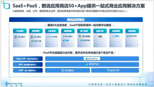 科學(xué)家創(chuàng)業(yè) 幫寶潔、伊利們用數(shù)據(jù)說(shuō)故事的數(shù)據(jù)處理服務(wù)